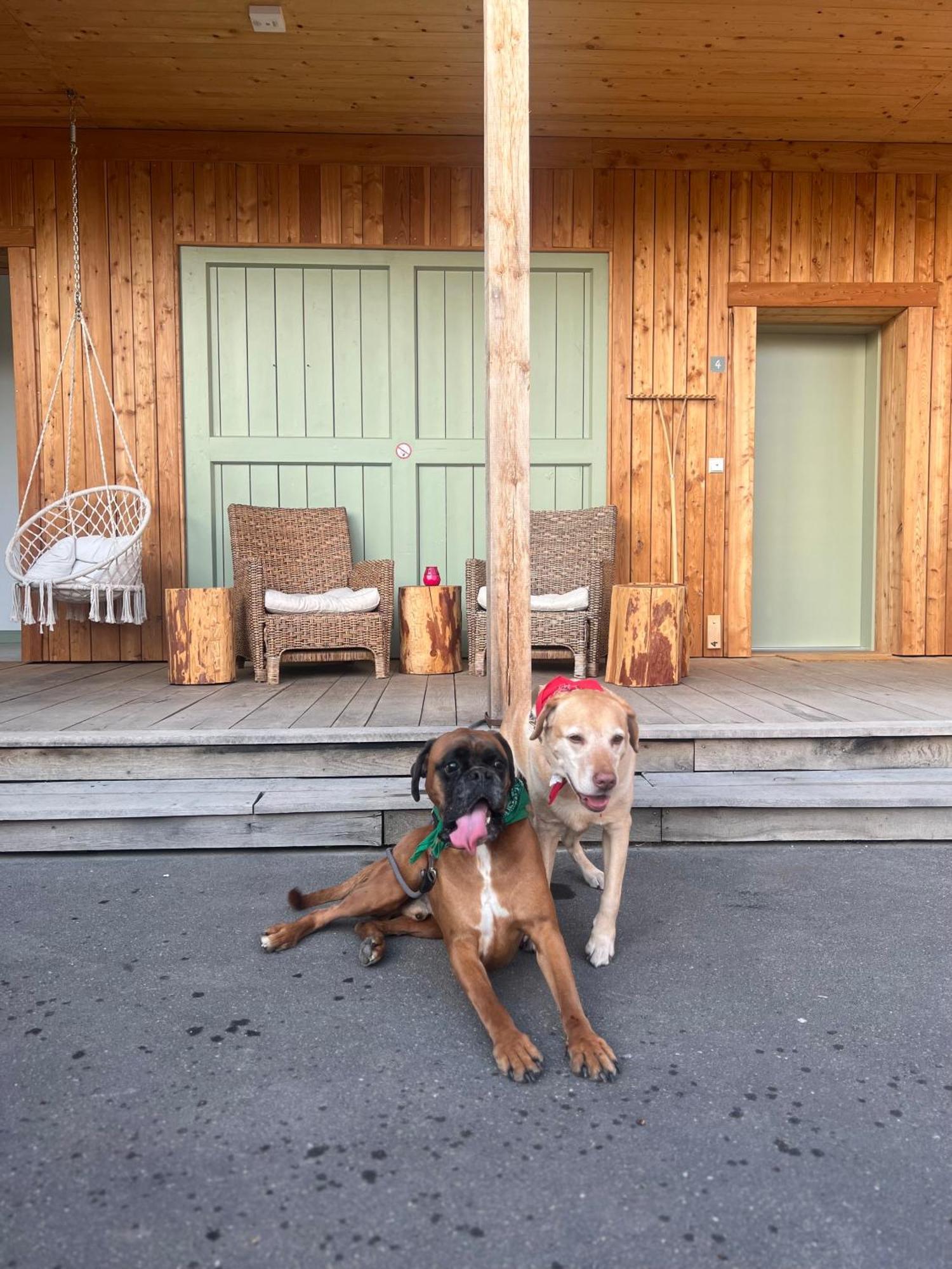 Bike Lodge Spessart Lohr am Main Экстерьер фото